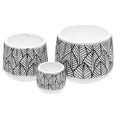 Brunnings 3 Piece Botanical Bliss Ceramic Planter Set
