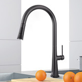 Expert Homewares Williams Pull-Out Kitchen Mixer Tap