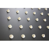 Expert Homewares Keith 250mm Square Shower Head