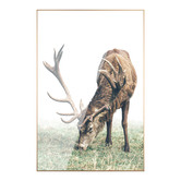 Expert Homewares Elk Framed Canvas Wall Art
