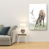 Expert Homewares Elk Framed Canvas Wall Art