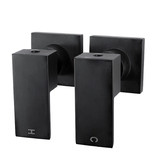 Expert Homewares Ottimo Black Short Twin Shower &amp; Wall Tap Set