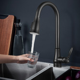 Expert Homewares Rounded Euro Pull-Out Kitchen Sink Mixer Tap