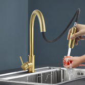 Expert Homewares Solander Swivel Pull-Out Kitchen Mixer