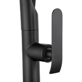 Expert Homewares Cammie Pull-Down Kitchen Mixer