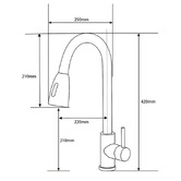 Expert Homewares Alastair Gooseneck Pull-Out Kitchen Sink Mixer