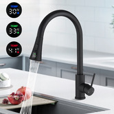 Expert Homewares Cammie Chrome Gooseneck Pull-Out Kitchen Sink Mixer