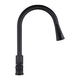 Expert Homewares Cammie Chrome Gooseneck Pull-Out Kitchen Sink Mixer