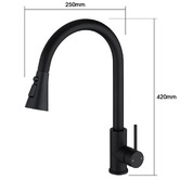Expert Homewares Frederick Gooseneck Pull-Out Kitchen Sink Mixer