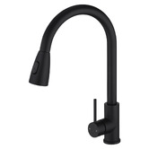 Expert Homewares Alastair Gooseneck Pull-Out Kitchen Sink Mixer