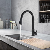 Expert Homewares Frederick Gooseneck Pull-Out Kitchen Sink Mixer