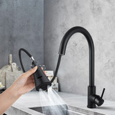 Expert Homewares Frederick Gooseneck Pull-Out Kitchen Sink Mixer