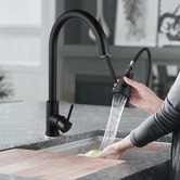 Expert Homewares Frederick Gooseneck Pull-Out Kitchen Sink Mixer