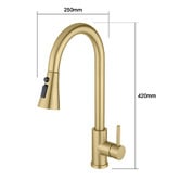 Expert Homewares Solander Gooseneck Pull-Out Kitchen Sink Mixer