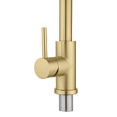 Expert Homewares Solander Gooseneck Pull-Out Kitchen Sink Mixer