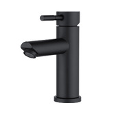 Expert Homewares Rohan Basin Mixer