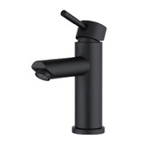 Expert Homewares Rohan Basin Mixer