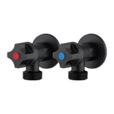 Expert Homewares Ashen Washing Machine Taps