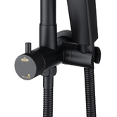 Expert Homewares Tully 325mm Gooseneck Short Twin Shower with Diverter