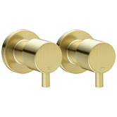 Expert Homewares Jagael Gold Short Twin Shower Tap Set
