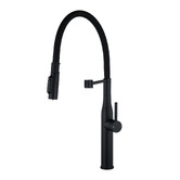 Expert Homewares Quintessa Magnetic Pull-Down Filtered Kitchen Sink Mixer