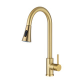Expert Homewares Rohan Gooseneck Pull-Out Kitchen Sink Mixer