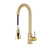 Expert Homewares Rohan Gooseneck Pull-Out Kitchen Sink Mixer