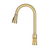 Expert Homewares Rohan Gooseneck Pull-Out Kitchen Sink Mixer
