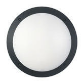 Lunescent Lighting LED Bulkhead Light