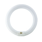 Lunescent Lighting 20.9cm T9 Circular Fluorescent Globe