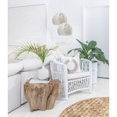 Lunescent Lighting Botanical Iron Pendant Light