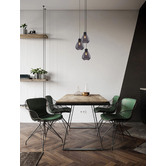 Lunescent Lighting Tulip Glass &amp; Iron Pendant Light