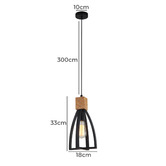 Lunescent Lighting Black Lowther 1 Light Iron Pendant