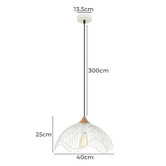 Lunescent Lighting Black Scandal 1 Light Iron Pendant