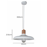 Lunescent Lighting Pastel 40cm Iron Pendant Light