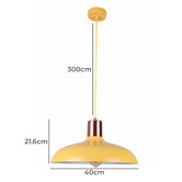 Lunescent Lighting Pastel 40cm Iron Pendant Light