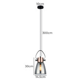 Lunescent Lighting Copper Eden 1 Light Iron &amp; Glass Pendant
