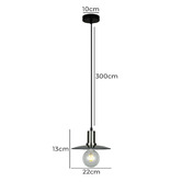 Lunescent Lighting Chapeau Glass &amp; Iron Pendant Light