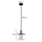 Lunescent Lighting Chapeau Glass &amp; Iron Pendant Light