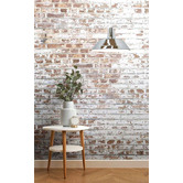 Lunescent Lighting Gair 1 Light Steel Pendant