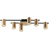 Lunescent Lighting Meira Adjustable 6 Light Spotlight