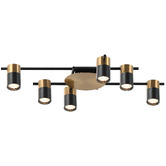 Lunescent Lighting Meira Adjustable 6 Light Spotlight