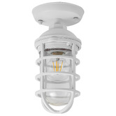 Lunescent Lighting Shaan Outdoor Ceiling Light