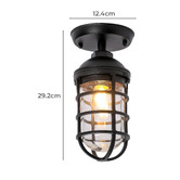 Lunescent Lighting Shaan Outdoor Ceiling Light