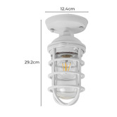 Lunescent Lighting Shaan Outdoor Ceiling Light