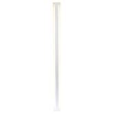 Lunescent Lighting Caldwell LED Outdoor Wall Light