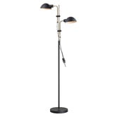 Lunescent Lighting Aeryx Adjustable 2-Light Floor Lamp