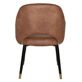 Bright Side Furniture Lex Faux Leather Dining Chairs with Brass Accent