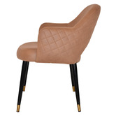 Bright Side Furniture Lex Upholstered Dining Chairs with Brass Accent