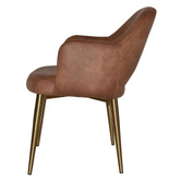 Bright Side Furniture Lex Faux Leather Dining Chairs with Brass Legs